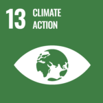 green stamp of Sustainable Development Goal number 13 Climate Action that shows the globe