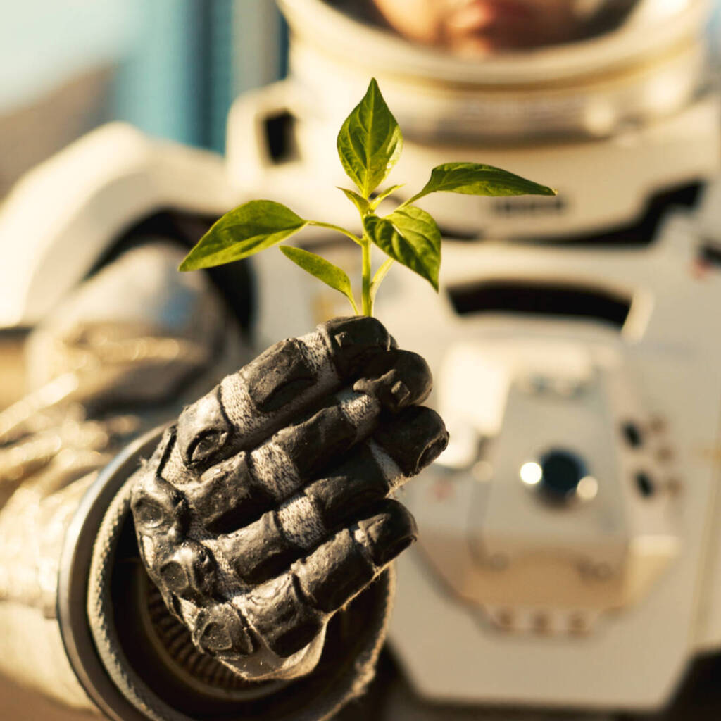 astronaut holding plant