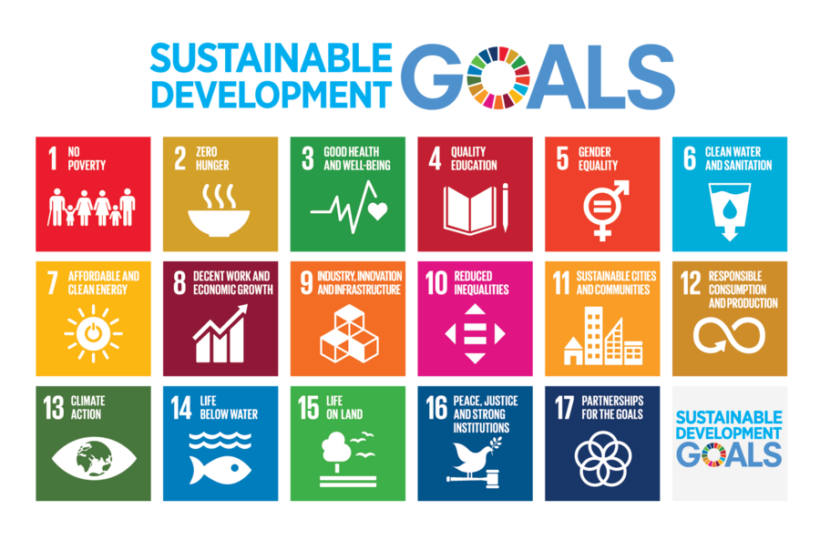 The United Nations Sustainable Development Goals